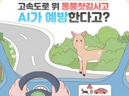 [국토교통부]고속도로 위 동물찻길사고 AI가 예방한다고? 기사 이미지